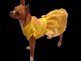 vestido de princesas